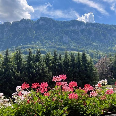 Ferienwohnung Mit Seeblick, Unterach Am Attersse Unterach am Attersee Ngoại thất bức ảnh