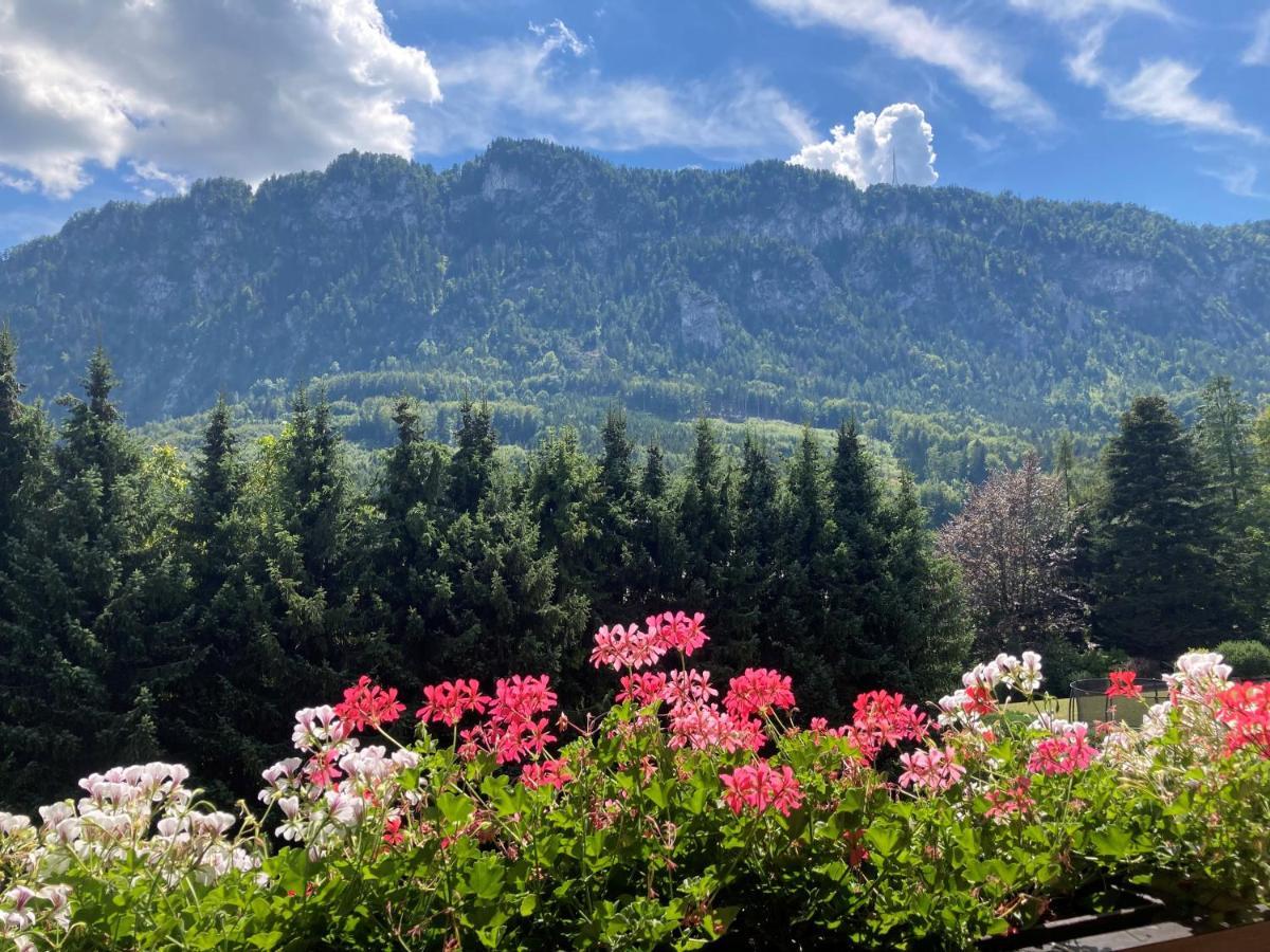 Ferienwohnung Mit Seeblick, Unterach Am Attersse Unterach am Attersee Ngoại thất bức ảnh